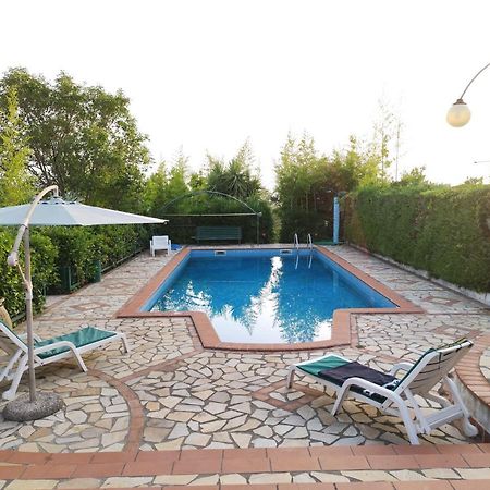 Cerseto 2 Bed & Breakfast Santa Domenica Talao Dış mekan fotoğraf